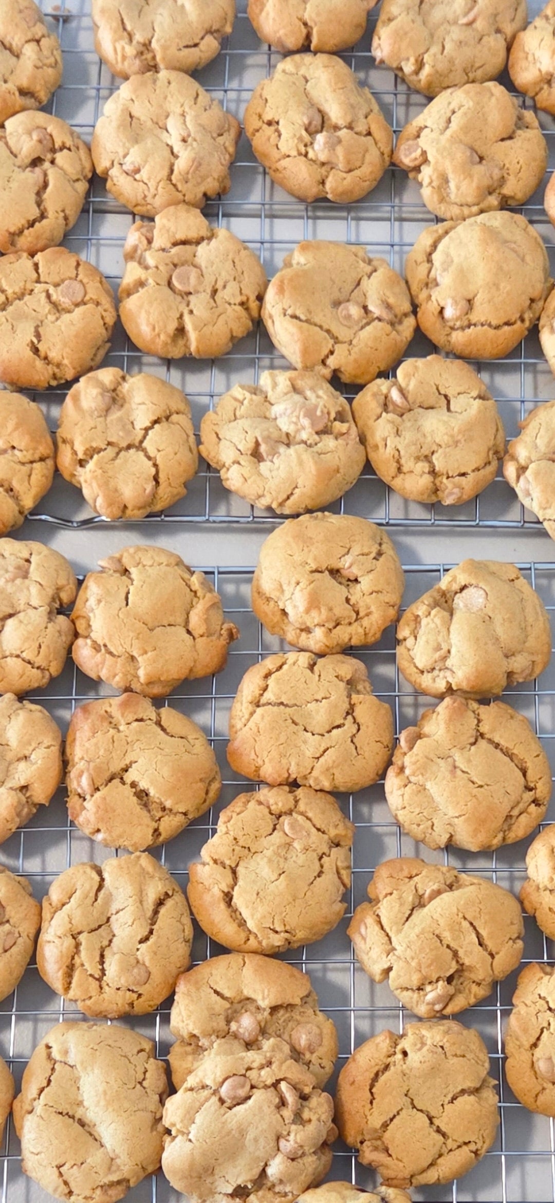 Peanut butter cookie