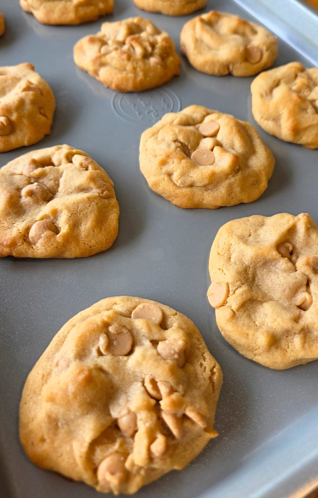 Peanut butter cookie